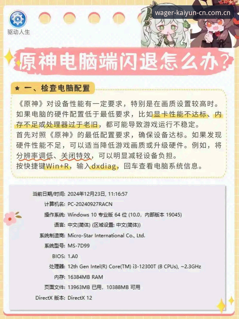 揭秘：kaiyun版本号核对背后的技术逻辑，解决登录闪退的关键一步
